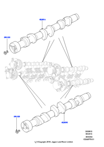 10A Nockenwelle L319 DISCOVERY 4 2010 - 2016 (L319),3,0 l DOHC GDI SC V6 BENZIN