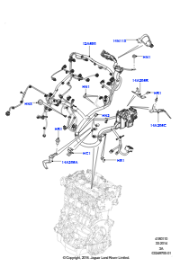 10AA Kabelstrang - Motor u. Spritzwand L550 DISCOVERY SPORT 2015 > (L550),Werk Halewood