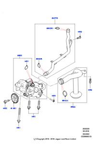 05B Ölpumpe L405 RANGE ROVER 2013 - 2022,3,0 l DOHC GDI SC V6 BENZIN