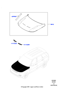 20B Motorhaube u. Anbauteile L494 RANGE ROVER SPORT 2014 - 2022 (L494),Motorhaube - Freilieg. Carbonfaser