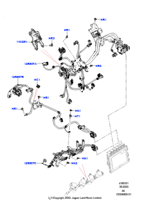 01AH Motorkabelbaum L460 NEW RANGE ROVER 2022 > (L460),4.4L V8 Turbo Petrol(NC11)
