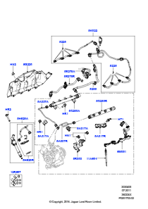 05 Einspritzventile und Leitungen L322 RANGE ROVER 2010 - 2012 (L322),3.6L V8 32V DOHC EFi Diesel Lion