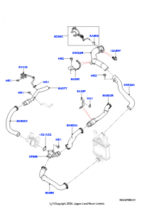 10E Zw.kühler/Luftführung/Schläuche L462 DISCOVERY 5 2017 > (L462),3,0 V6 D Gen2 Twin Turbo